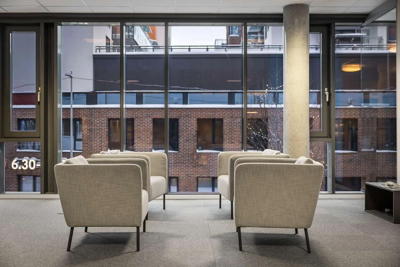 Window Tint for Home: A Practical Guide